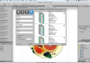 Tilia Labs