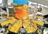 Punjab has several Mega Food Parks that are functional Photo Government of Punjab