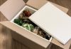Stora Enso introducing fibrease, which is fully recyclable and can be used for protective and thermal packaging