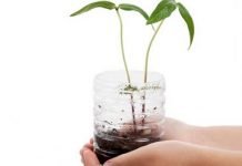 Bioplastics