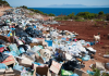APEAL’s call to amend packaging and packaging waste regulation