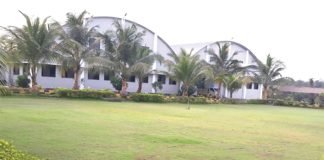 Ansa