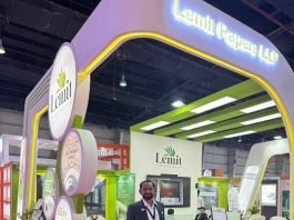 Lemit Papers