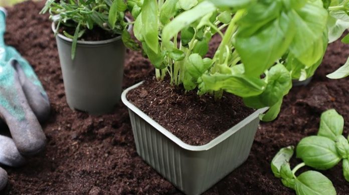 bioplastics