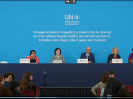 The first part of the fifth session (INC-5.1) to negotiate a plastics treaty, which took place from 25 November to 1 December 2024 in Busan, Republic of Korea, had ended in a stalemate.