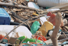 bioplastics