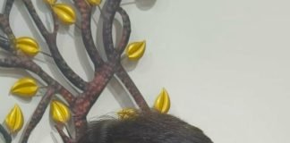 Renuka